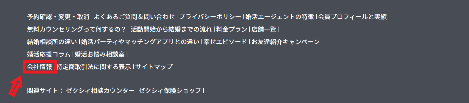 ゼクシィ縁結びエージェント　会社情報